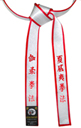 Deluxe Satin Silver Master Belt with Red Border